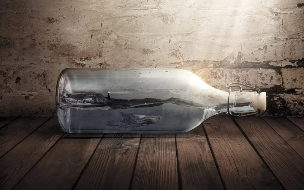 Captivi în propria viață...