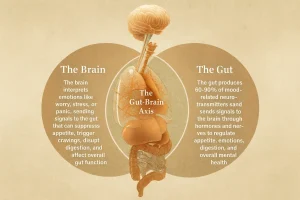 Infografic despre conexiunea intestin–creier și modul în care aceasta influențează emoțiile, digestia și sănătatea mentală.